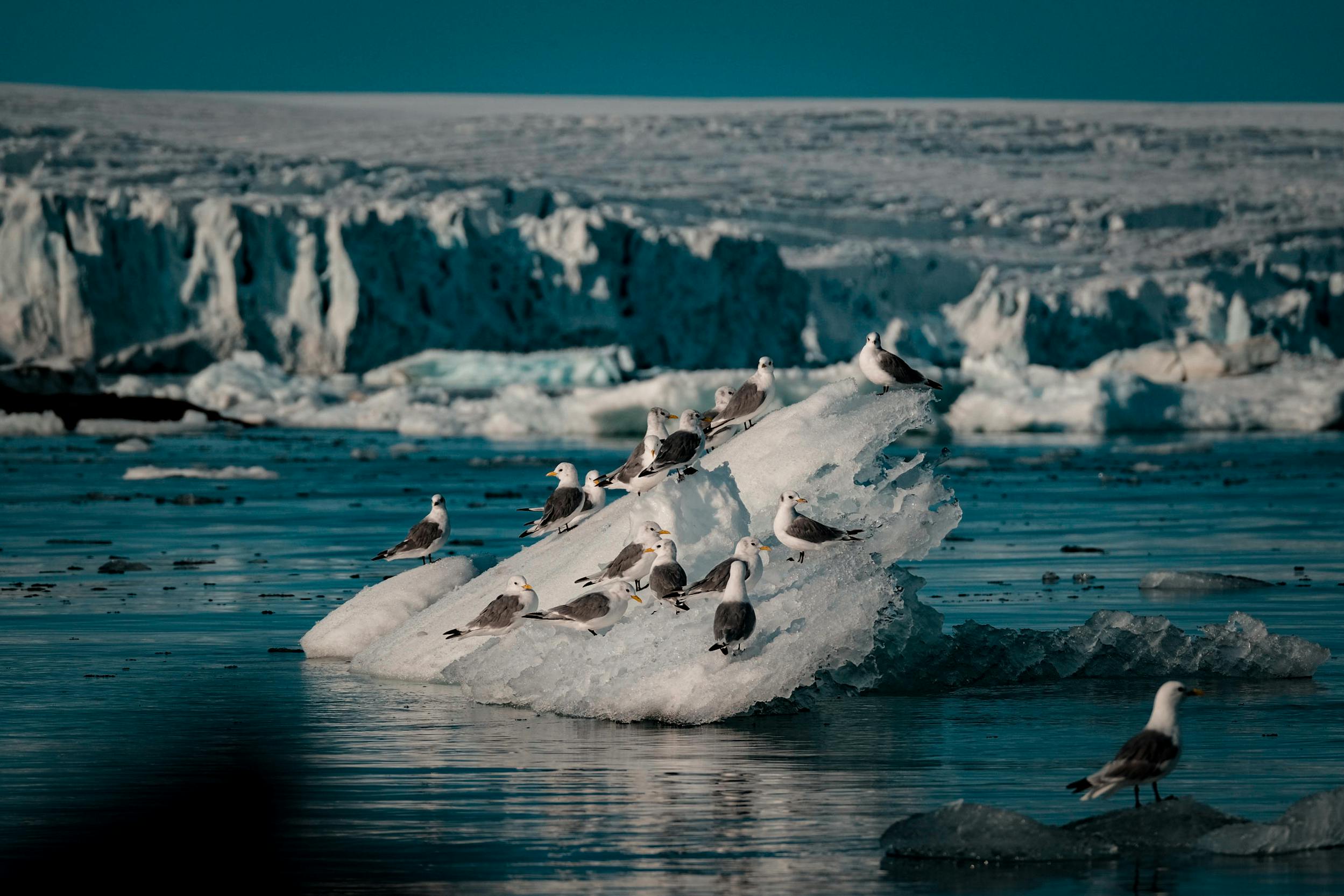 Polar expedition image for Fort Point